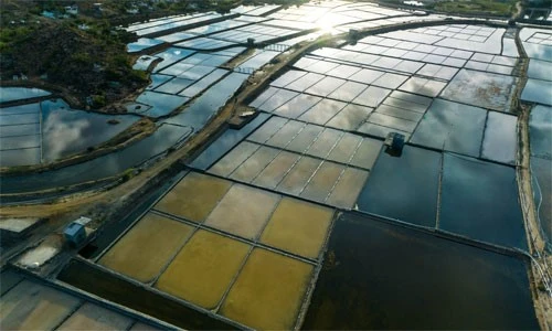 aquaculture-waste-water aquaculture-waste-water